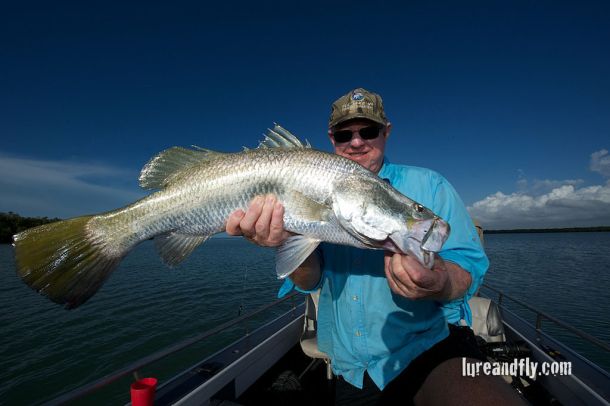 Sight casting barra bonanza!